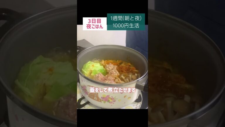 キムチ鍋#節約　#料理　#ごはん　#1人暮らし　#自炊　#1週間  #1000円　#レシピ　#献立　#簡単　#ヘルシー  #ダイエット #女 #作り置き#shorts