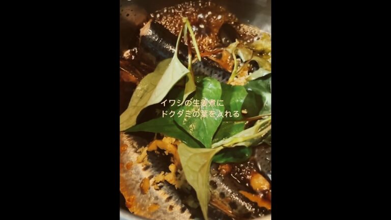 ドクダミ料理レシピ❶イワシの生姜煮に入れる🐟 #ドクダミ