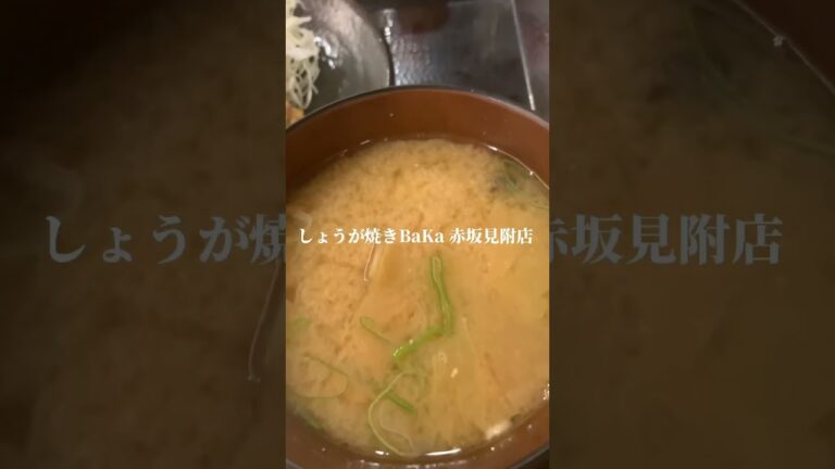 都内で注目の生姜焼き専門店【しょうが焼きBaKa 赤坂見附店】#生姜焼き #赤坂 @IKKOSFILMS #YouTubeいっこーず #YouTubeイッコーズ