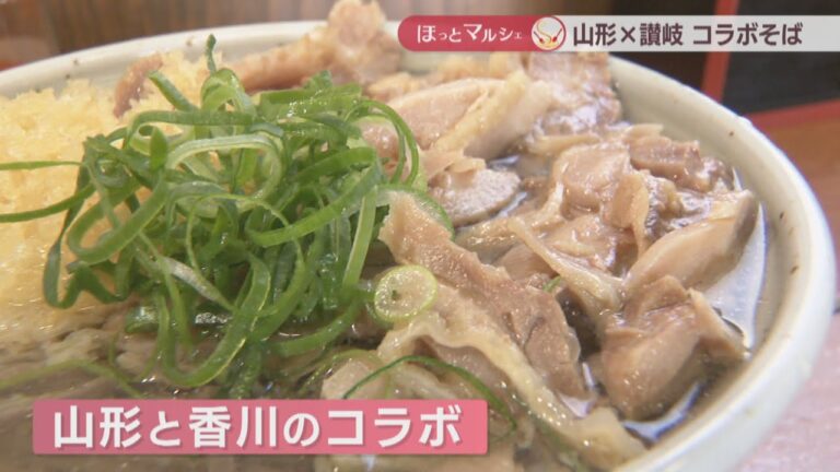 香川×山形　コシが強い讃岐風「冷たい肉そば」　甘辛いつゆに鶏肉をトッピング　香川【ほっとマルシェ】