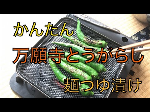 【田舎暮らし】簡単！万願寺とうがらし　めんつゆ漬け