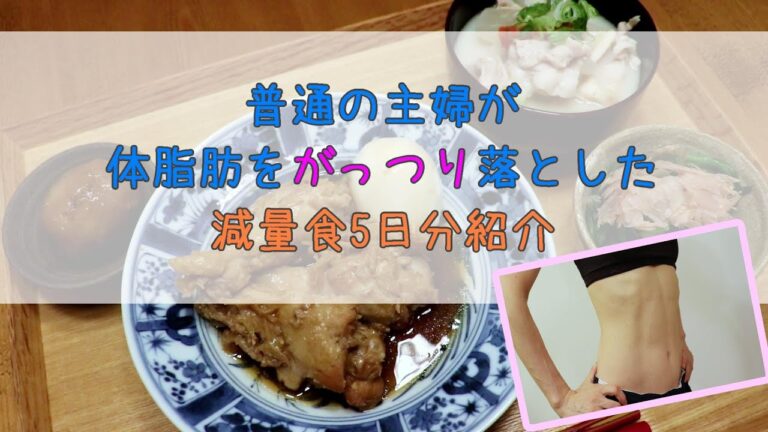 減量食【ごま沼】と小さな工夫で体脂肪をがっつり落とす【典型的な5日分の食事】40代の主婦が半年で体脂肪率マイナス5.7%を達成するための食事を紹介　 役に立つかは知らんけど
