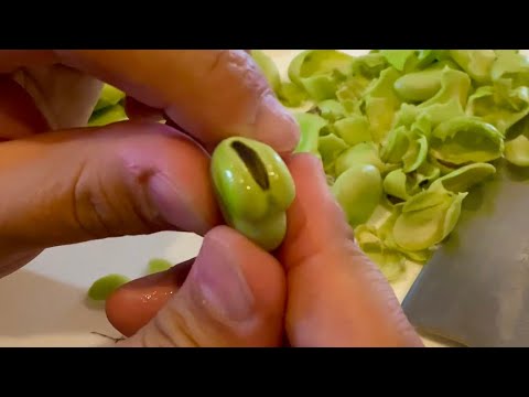 盲腸になった屋敷ドビーが作る【そら豆のポタージュ】