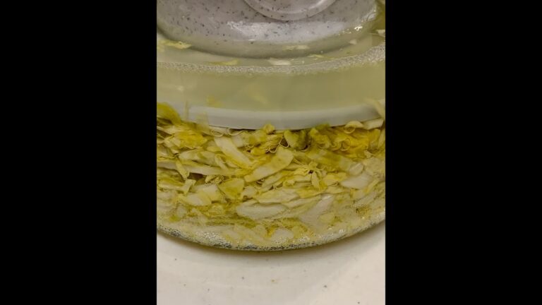 ザワークラウト  （発酵キャベツ）の作り方