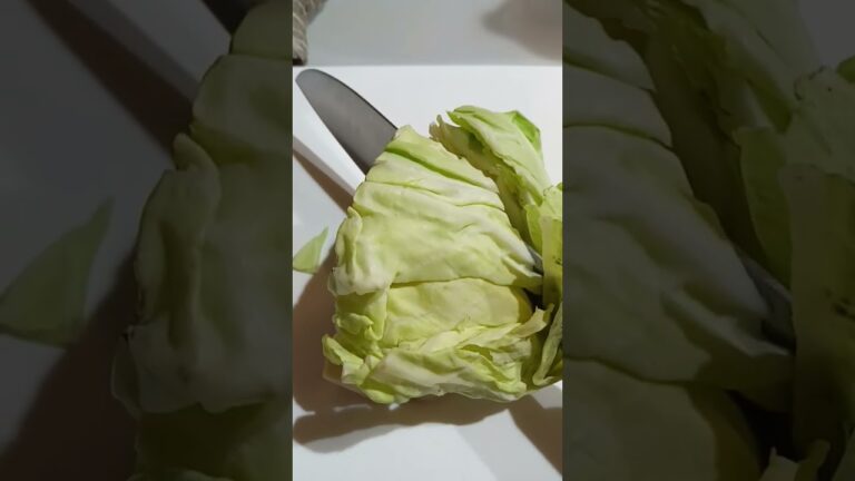 300人記念！！おめでとおお！🎉🎊ということでキャベツを切って塩もみにしました☆