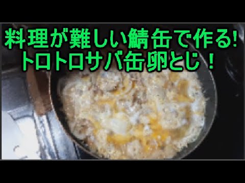 丼にもできる鯖缶（サバ）水煮人気レシピ♬