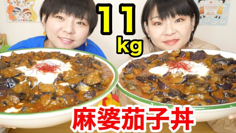 【大食い】麻婆豆腐の素で麻婆茄子丼！総重量約１１kg！もちろん甘口。【双子】