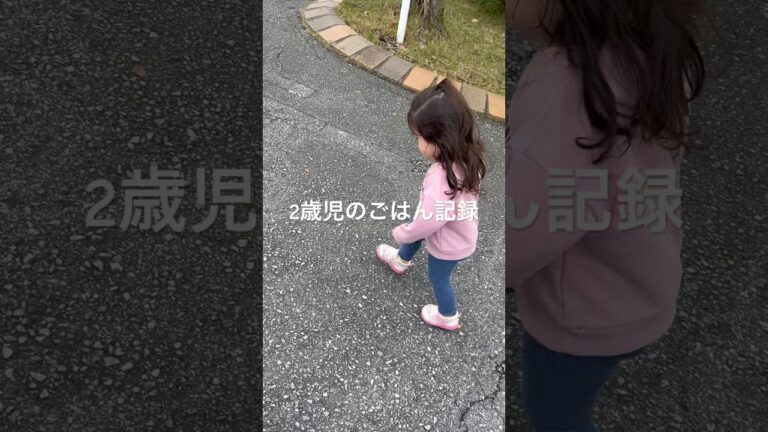 ニ歳児の献立/毎食完食/無添加ごはん/献立/毎日ごはん #献立日記 #food #2歳ごはん #今日の献立 #食事 #献立記録