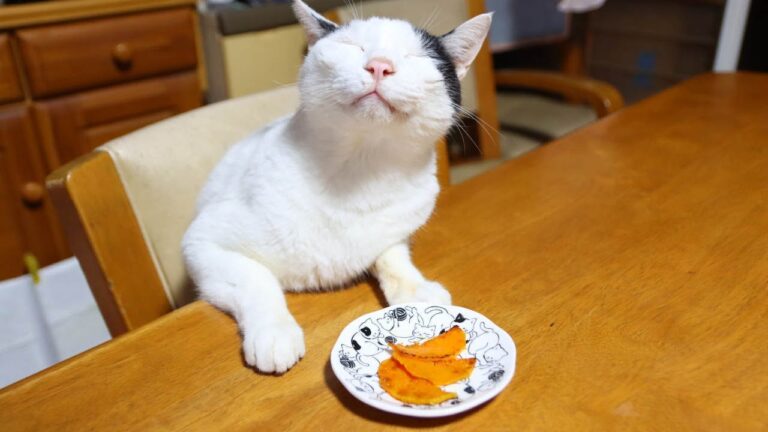 バターナッツかぼちゃのバター焼き　221211