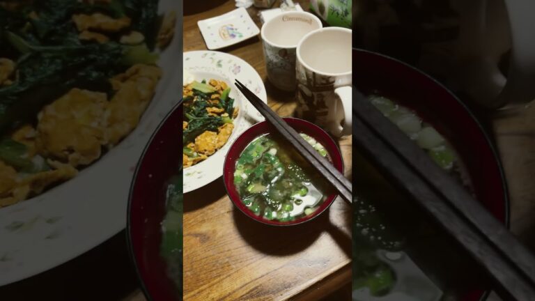 夜飯紹介😈カニカマサラダ🥗🦀きゅうり🥒の浅漬けと味噌汁とふりかけご飯🍚ニラとじとごぼうですにゅっ🤪
