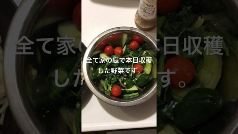 家の庭で収穫した野菜のみで冷やしうどんを作ってみた　＃時短　簡単レシピ　材料 (キュウリ　ミニトマト　モロヘイヤ　オクラ　ミョウガ　シソ　シシトウ　インゲン)#料理動画　サラダ#shorts