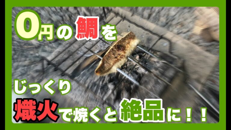 【ソロキャンプ ♯29】熾火で鯛の塩焼きを焼いてみたら、絶品だった！！😋👌