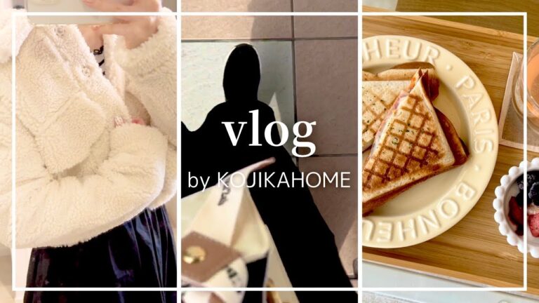 【vlog】新しいコスメを買ってコスメ整理/ZARA購入品/朝食作り/ホットサンド/オムライス/ふるさと納税