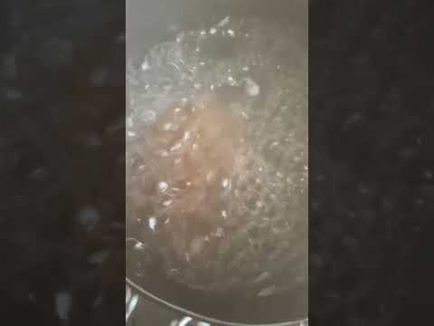 茹でハンバーグ