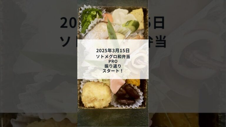 【盛り付け動画】ソトメグロ和弁当PRO｜鶏の照り焼きを含む20種類のおかず（2025年3月15日）#shorts
