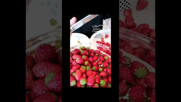 簡単！美味しい！いちごミルクアイス🍓　#shorts
