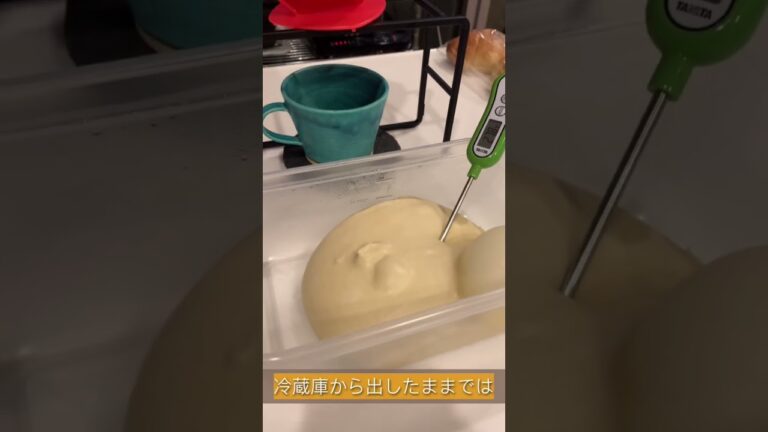 作り置きパン生地の発酵のさせ方