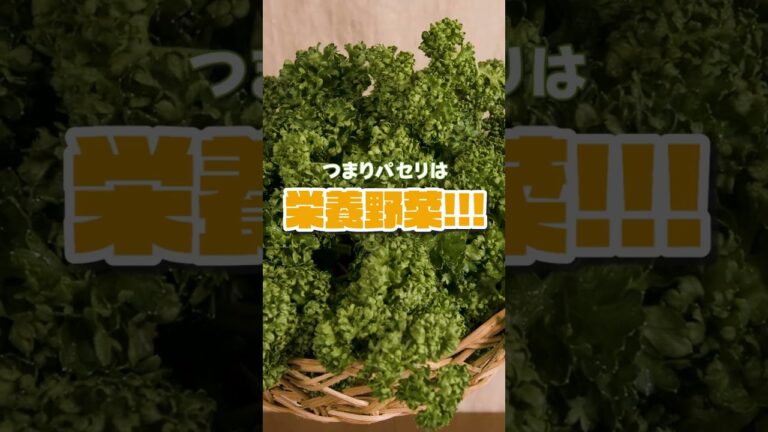 パセリってただの飾りなの？