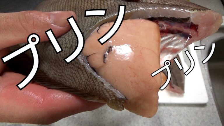 今だけ！！マジで美味い子持ちカレイ【エテカレイ】標準和名はソウハチカレイです