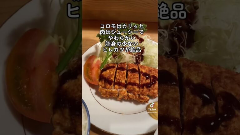 とんかつとんきのヒレが最高だった #shorts