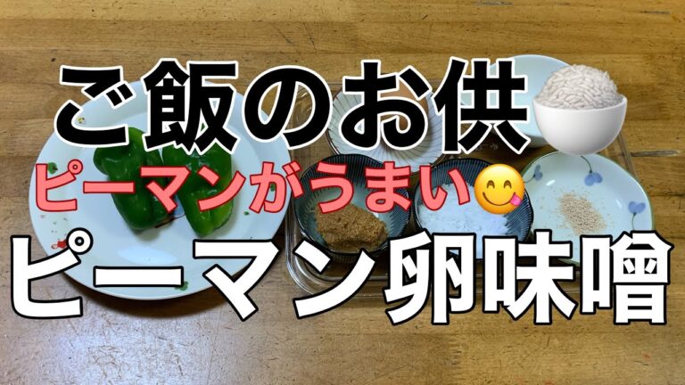 【ご飯のお供🍚】ピーマンがうまい　ピーマン卵味噌