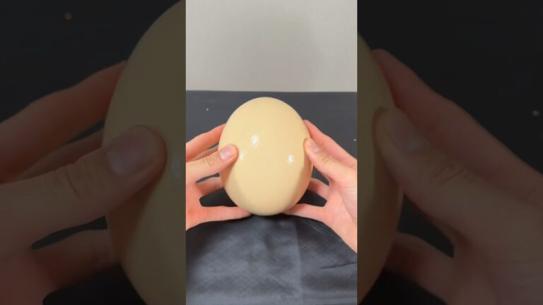 巨大たまごでオムライス作るととんでもないのできた！！#オムライス#オムレツ#料理#omelette