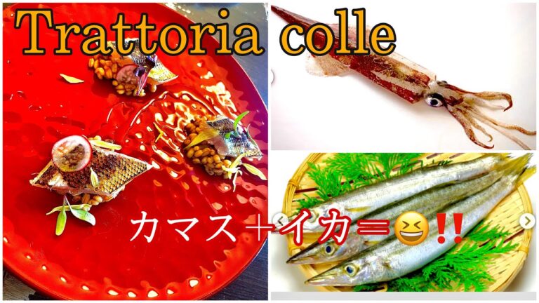 旬のカマスとスルメイカを使ったらこんな料理になりました！