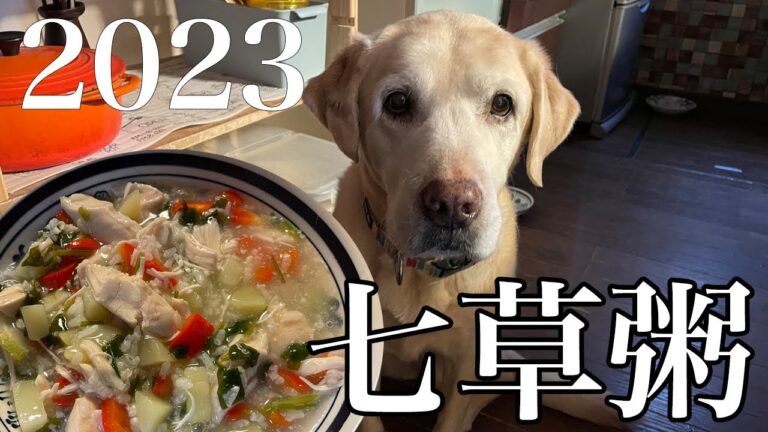 今年も作った2023年、犬の七草粥 | 犬の手作りごはん