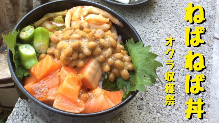 【収穫祭】オクラとサーモンのねばねば丼～キムチと納豆もご一緒に～【簡単レシピ・作り方】【家庭菜園・夏野菜】【田舎暮らし】Rice bowl with homemade Okra and Salmon