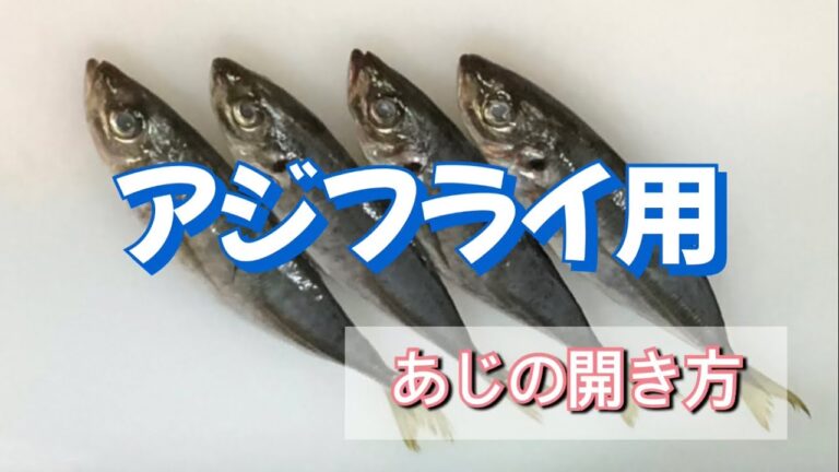 アジ(鰺)の開き方　　アジフライさばき方　簡単でわかりやすい