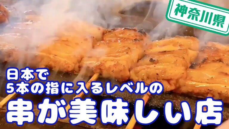 【神奈川県】【継ぎ足し秘伝のタレ】もつ焼き「のんき」の名物の「しろたれ」