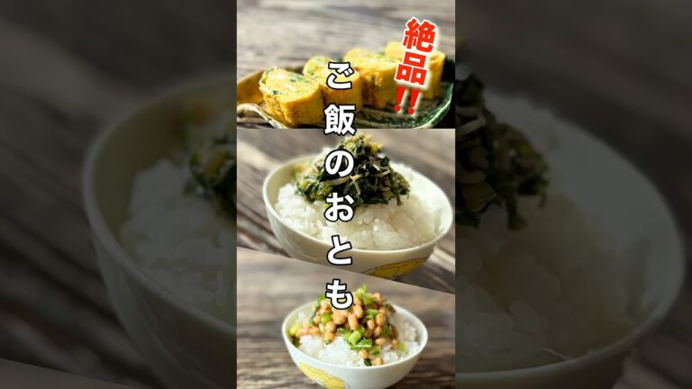 【大根葉レシピ】捨てないで食べてほしい！ご飯が止まらなくなります♪