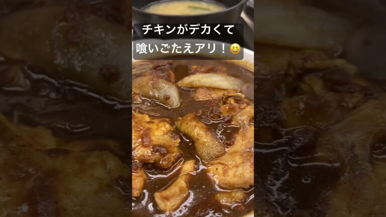 80万食限定！「ごろごろ煮込みチキンカレー」を売り切れる前に食べてきた！😆
