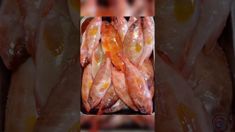 红斑鱼煮鱼汤很鲜美