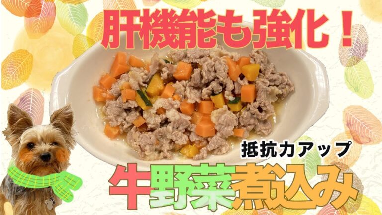 【愛犬手作りご飯】肝機能も強化！抵抗力アップ「牛野菜煮込み」