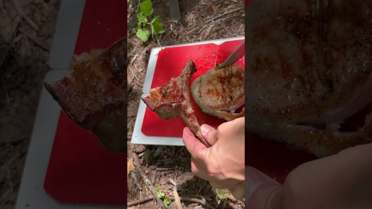 骨付きポークステーキ #camping #pork #weezer