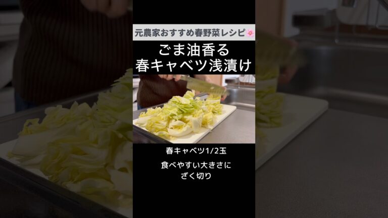 意外と絶品！ごま油香る春キャベツ浅漬け