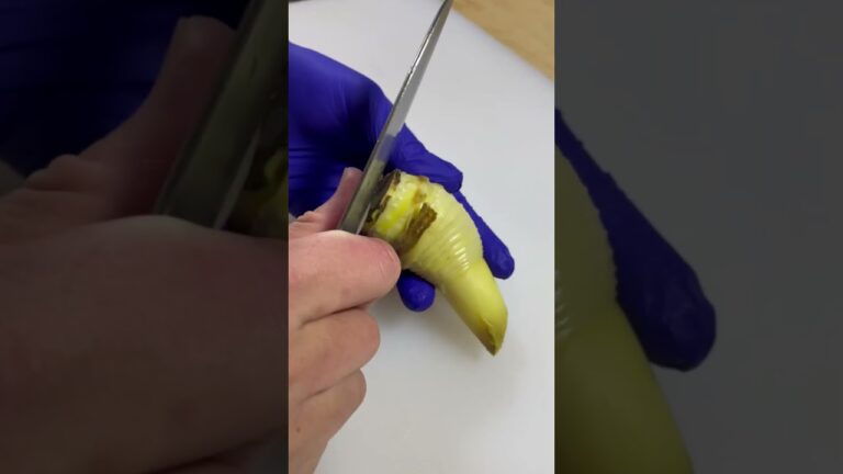 筍は好きですか？カルパッチョに仕立ててみました。飛ぶぞ！#shorts #レシピ #たかの料理教室