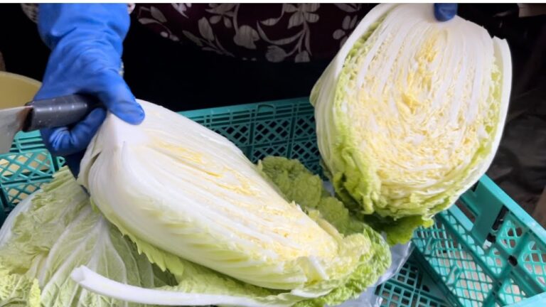 みつえばあちゃん自家製　白菜の漬物の作り方　【前編】21/1/27