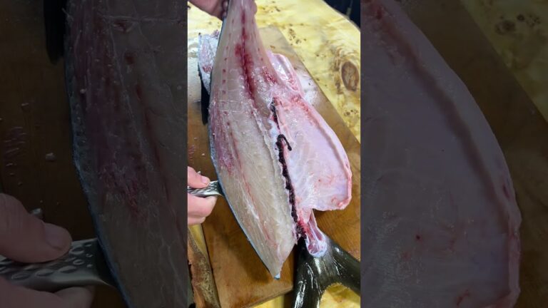 平政をさばいていく #shorts #sashimi #ヒラマサ