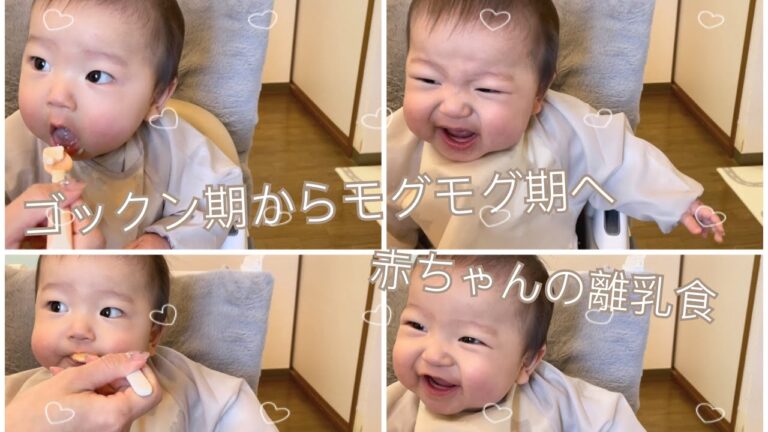 【赤ちゃん 離乳食】モグモグ期へ移行中！離乳食の様子🥄 生後6ヶ月後半