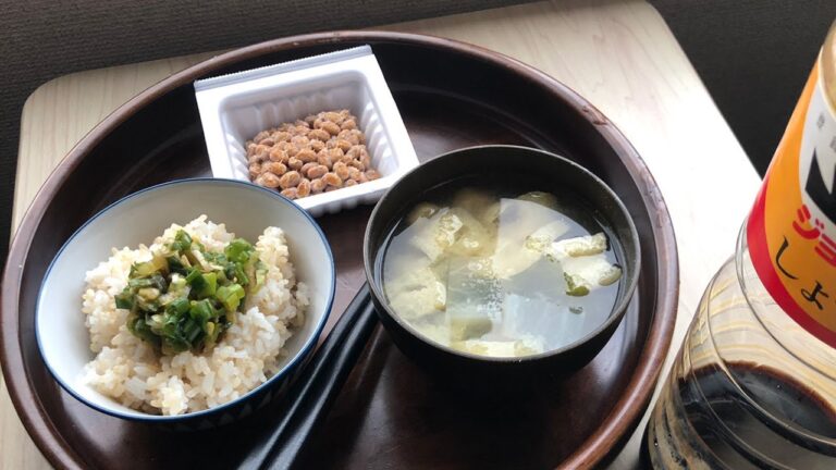 ネギと納豆ごはん