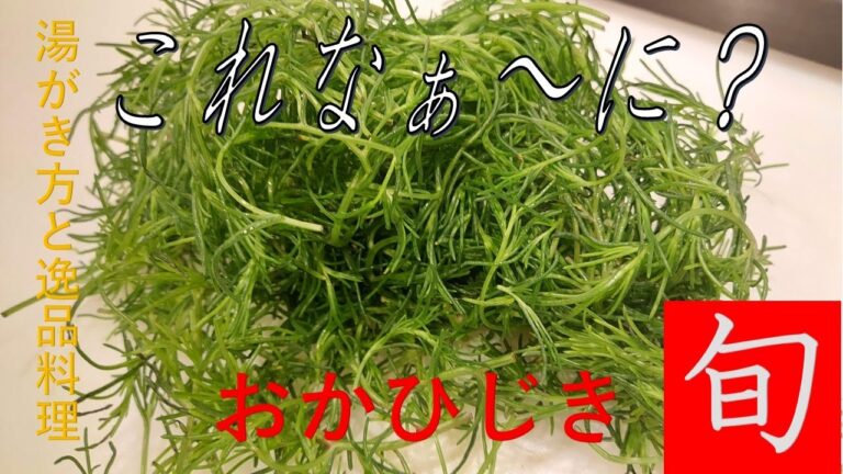 【おかひじき】初対面！！湯で方でこんなにもシャキシャキになるなんて！？本日はナムルを作ってイク！！