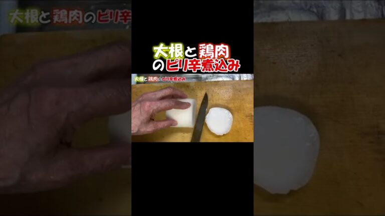 大根と鶏のピリ辛煮込み #shorts #大根と鶏のピリ辛煮込み #food #cooking #料理