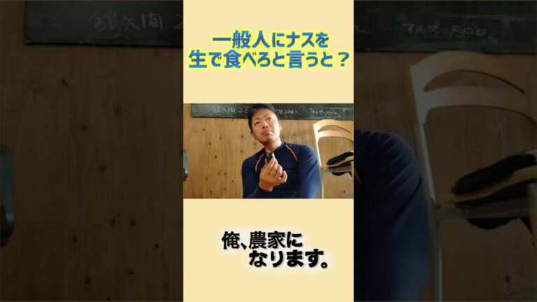 ナスって生で食べるもんなの？！