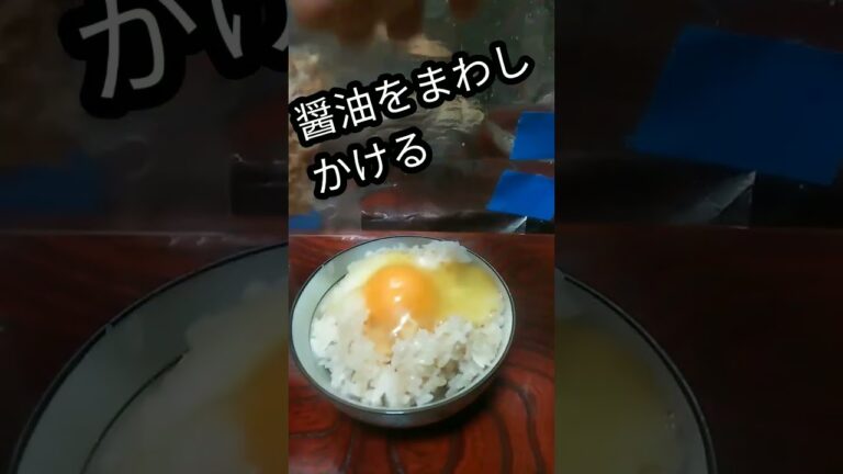 バターが香るバター醤油卵かけご飯がめっちゃうまい！　#shorts 　#卵かけご飯　#簡単レシピ