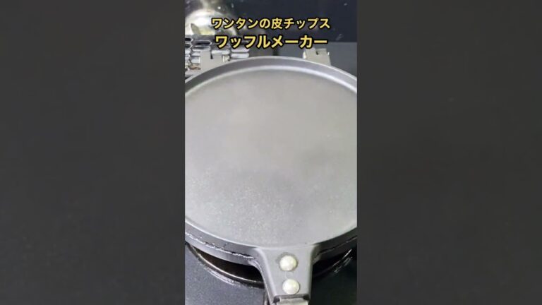 【簡単おつまみ】余ったワンタンの皮で作るチップスの極み（再up） #shorts