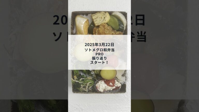 【盛り付け動画】ソトメグロ和弁当PRO｜国産ワインビネガーの酢豚を含む20種類のおかず（2025年3月22日）#shorts