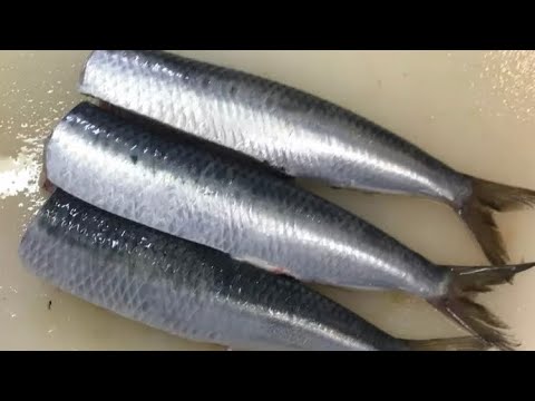 いわしの下処理