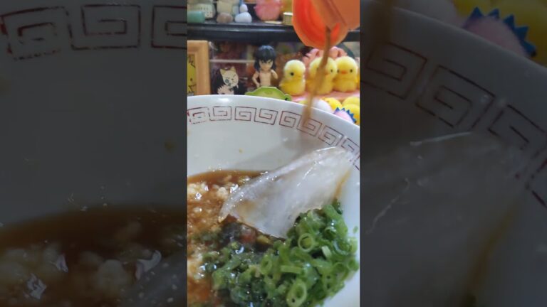 麦簾島原手延そうめん🎐🐥3束